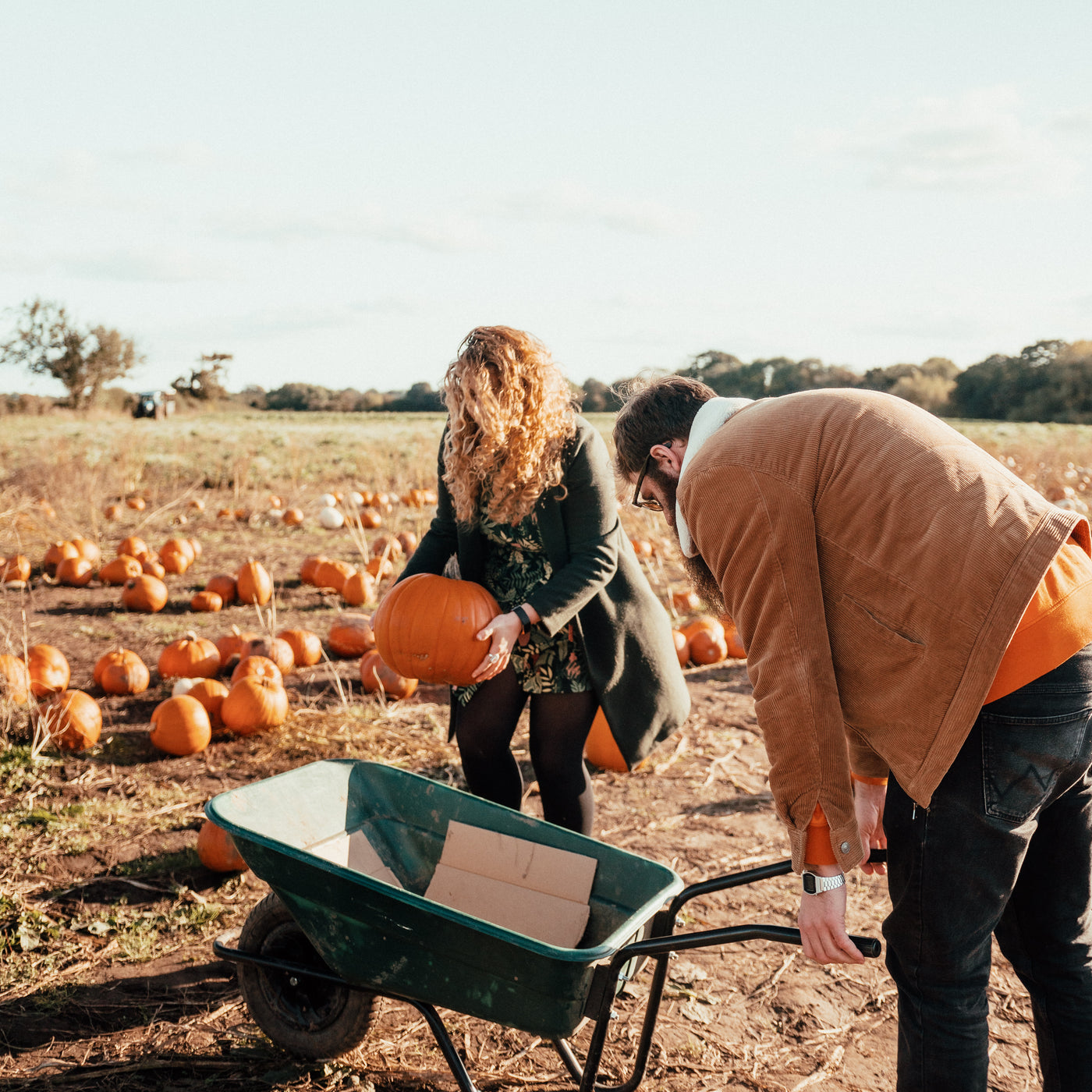 Embracing the Autumnal Shift: Halloween's Ancient Pagan Roots