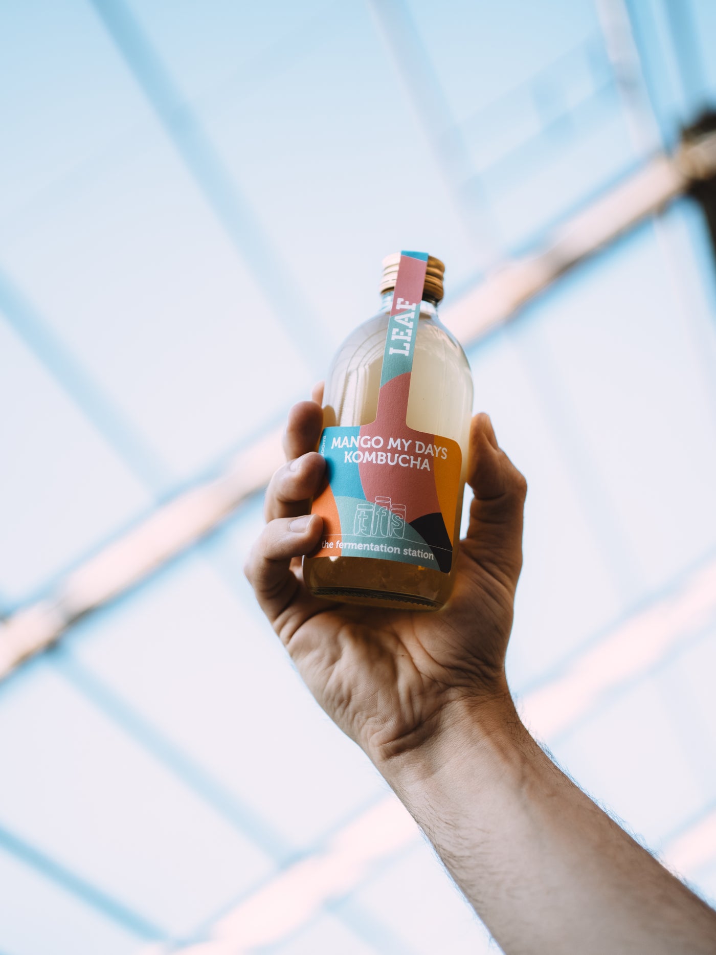 The Fermentation Station's Mango My Days Kombucha: Your Secret Ingredient for a Fun and Beneficial Tequila Cocktail
