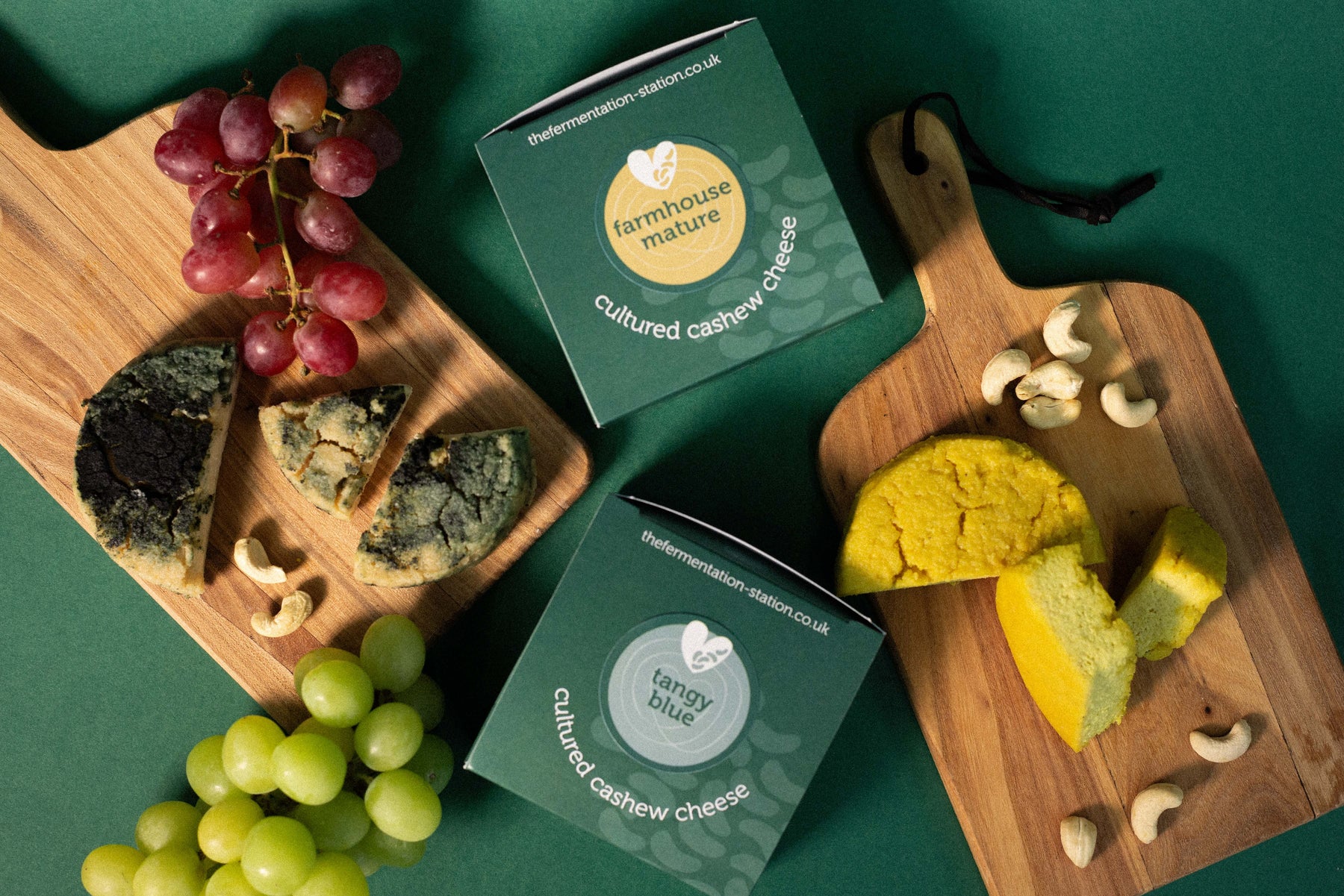 Strong Cheese Duo Farmhouse Mature and Tangy Blue The Fermentation